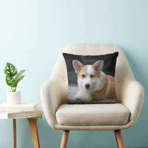 Almofada Bebês Mais Pobres   Relaxamento do Corgi Puppy