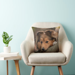 Almofada Bebês Mais Pobres Shetland Sheepdog Puppy