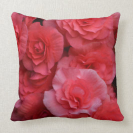 Almofada Begon Rosa Duplo Lento