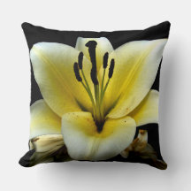 Bela Flor Amarela Elegante no Preto