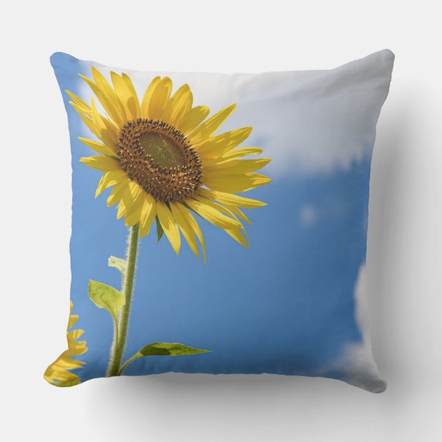 Almofada belas flores solares com céu azul nublado (Frente)