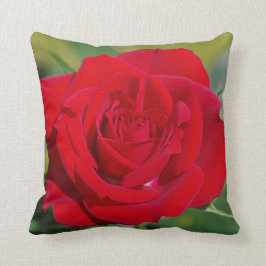 Almofada Beleza da rosa vermelha