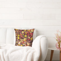 Beleza na Natureza Nova e Antiga