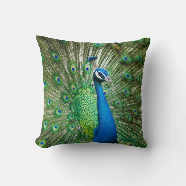 Almofada Belo Cushion Peacock Masculino (Frente)
