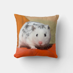 Almofada Belo Hamster Sírio, Negro Encarado Engraçado