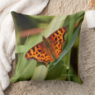 Almofada Belo Laranja Satyr Comma Butterfly