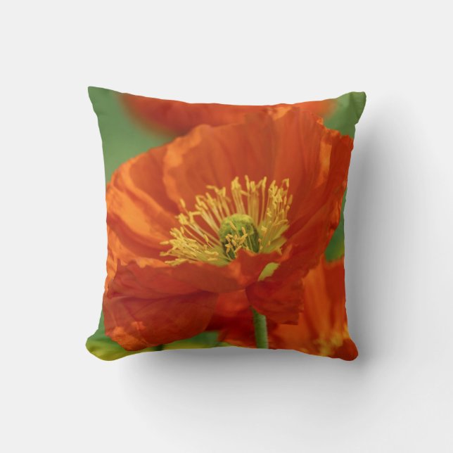 Almofada Belo papa vermelho (Frente)