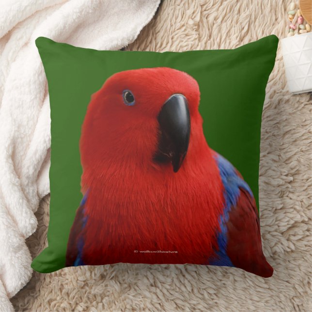 Almofada Belo Papagaio Eclectus "Lady in Red" (Cobertor)