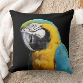 Almofada Belo Pássaro de Papagaio Azul e Dourado