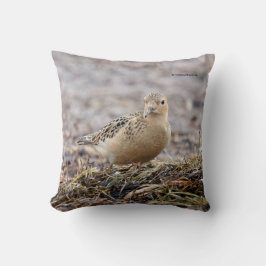 Almofada Belo sanduíche assado na praia