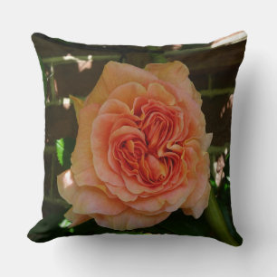 Almofada Belo Travesseiro decorativo Rosa de Pastel