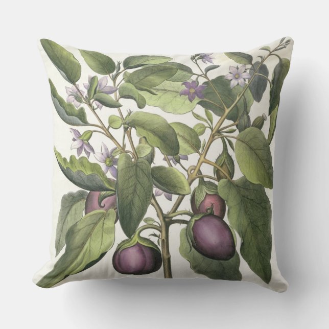 Almofada Beringela: Pallido do fructu de Melanzana, 'do Hor (Frente)