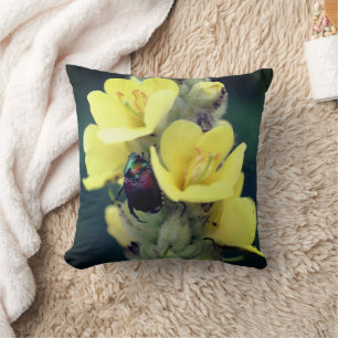 Almofada Besouro Na Flor Mullein Selvagem Feche-Se