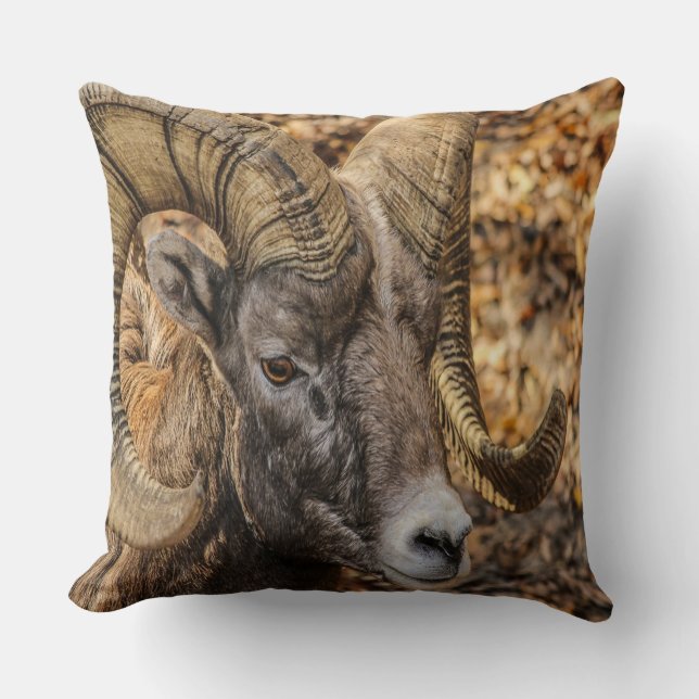 Almofada Big Horn Ram (Frente)