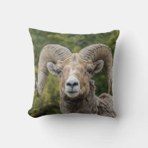 Bighorn Sheep Travesseiro decorativo