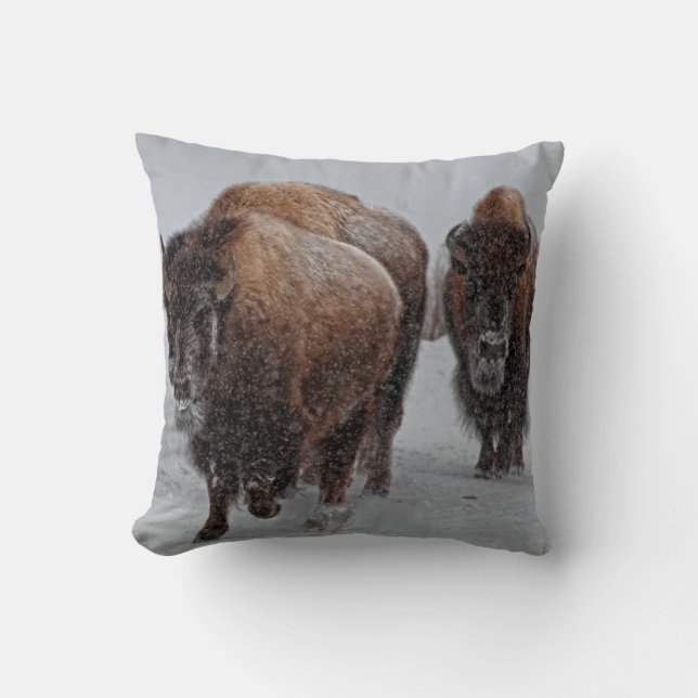 Almofada Bisonte de Yellowstone (Frente)
