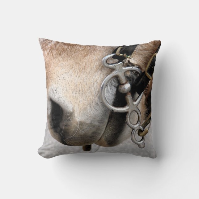 Almofada Bit de condução (Frente)