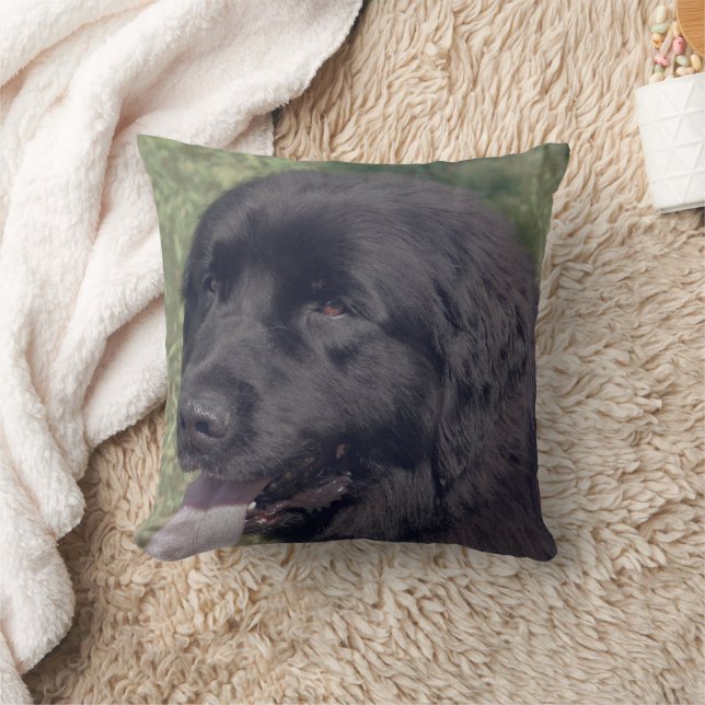 Almofada Black Newfoundland Dog Face (Cobertor)