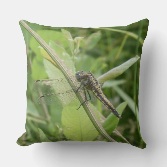 Almofada Black-tailed Skimmer Throw Pillow (Frente)
