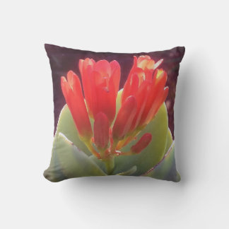 Almofada Blooming Agave