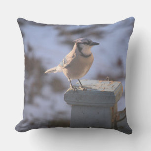 Almofada Blue Jay