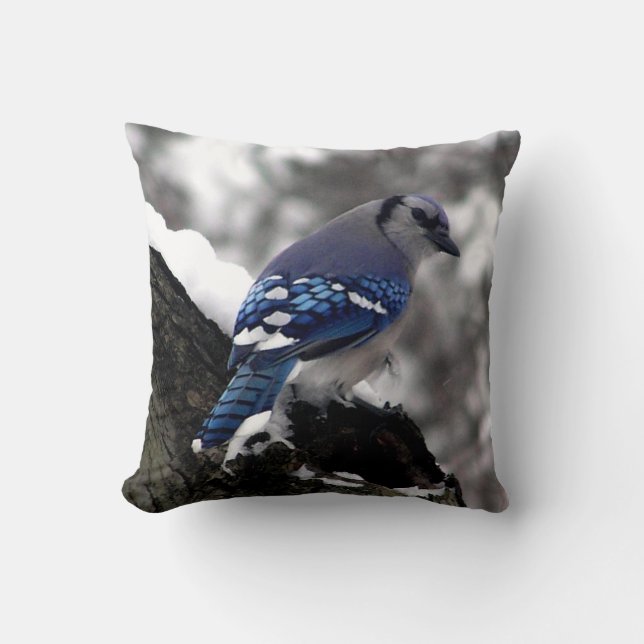 Almofada Blue Jay de inverno (Frente)