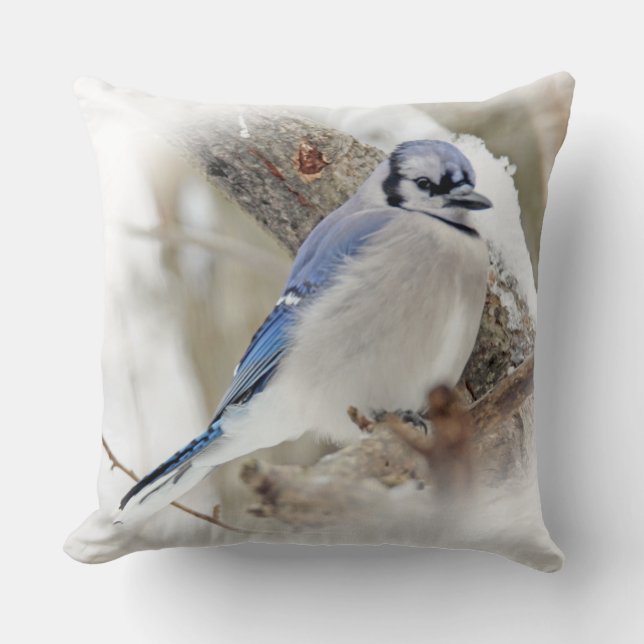Almofada Blue Jay Songbird na neve (Frente)