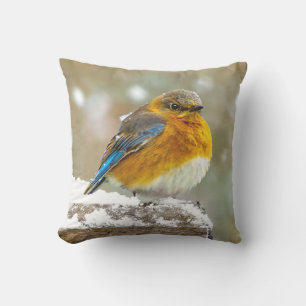 Almofada Bluebird oriental na neve - Foto original