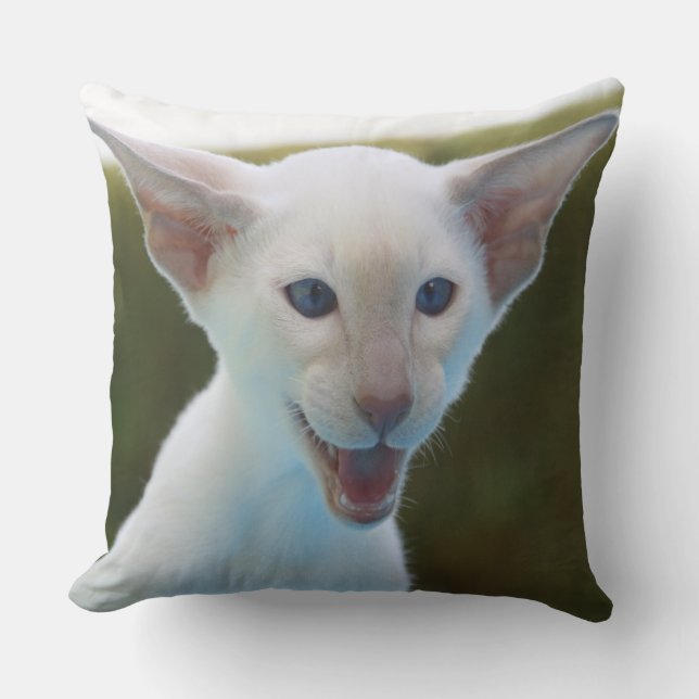 Almofada Bobo Siamese (Frente)