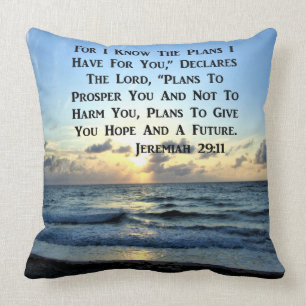 ALMOFADA BONITA SCRIPTURE JEREMIAH 29:11 VERSO