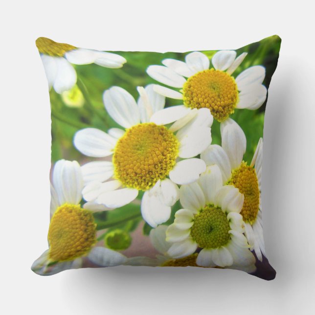 Almofada Bonito Flores de Margarida no Sol (Frente)