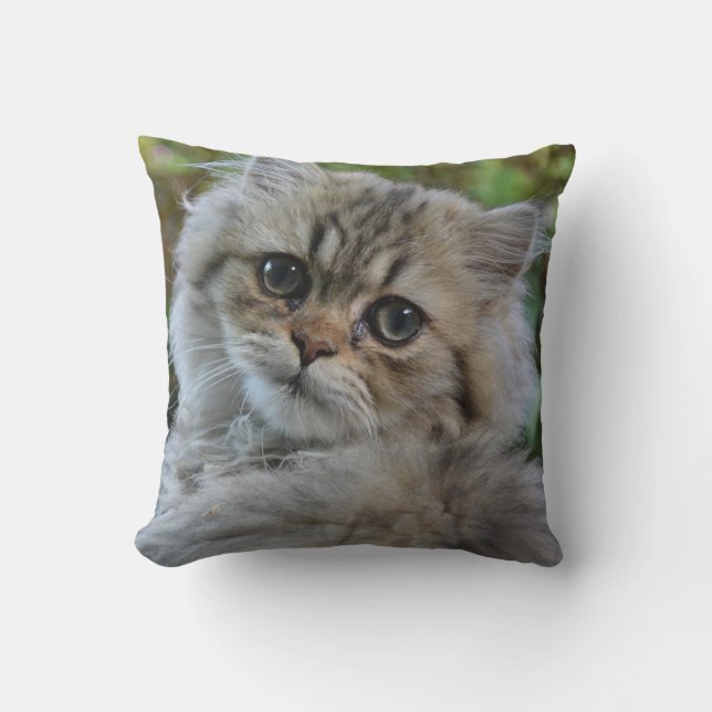 Almofada Bonito Gatinho Persa (Frente)