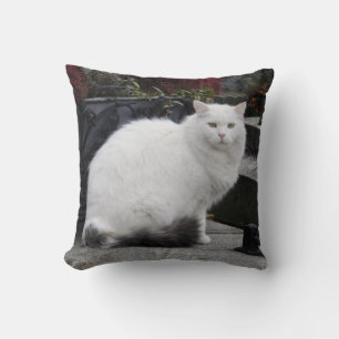 Almofada Bonito Gato Branco Em Um Grave