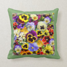 Bonito Panteras de Verão