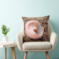Bonito Seashell em uma praia Rocky com texto perso