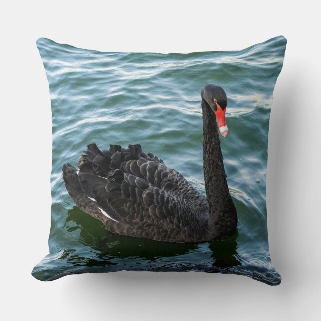 Almofada Bonito Swan Negro (Frente)