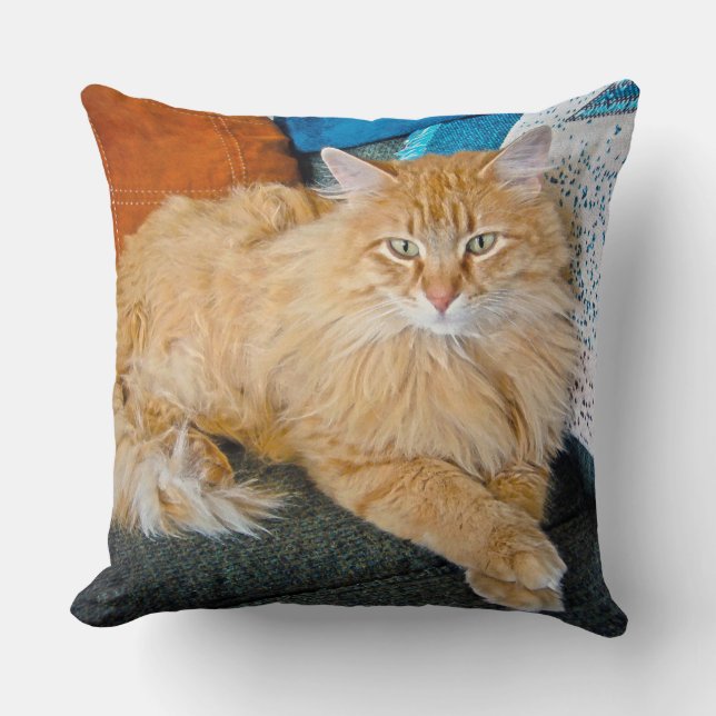 Almofada Boppy (Frente)