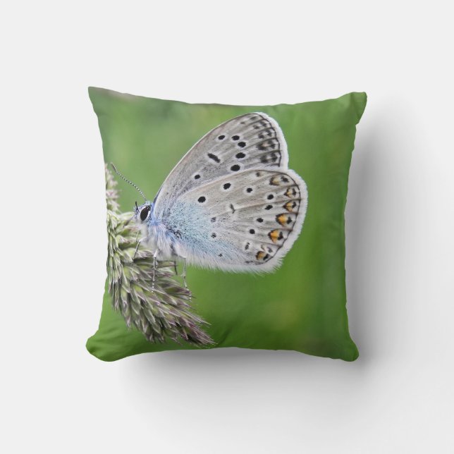 Almofada Borboleta Azul Comum na Grama (Frente)