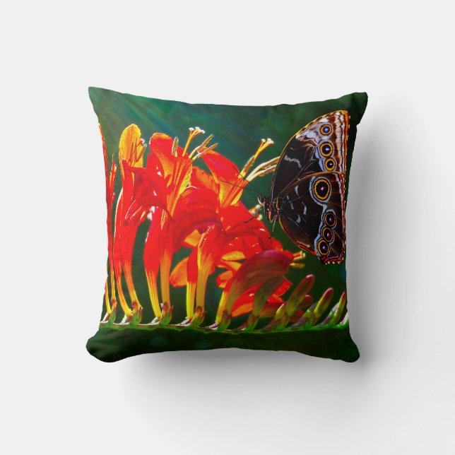 Almofada Borboleta azul-morfo sobre as flores crocosmicas L (Frente)