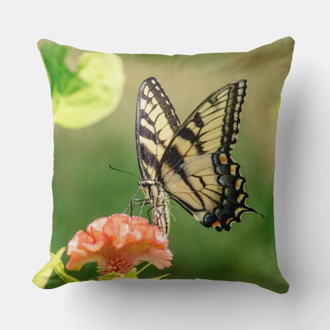 Almofada Borboleta do Swallowtail do Tigre Oriental (Frente)