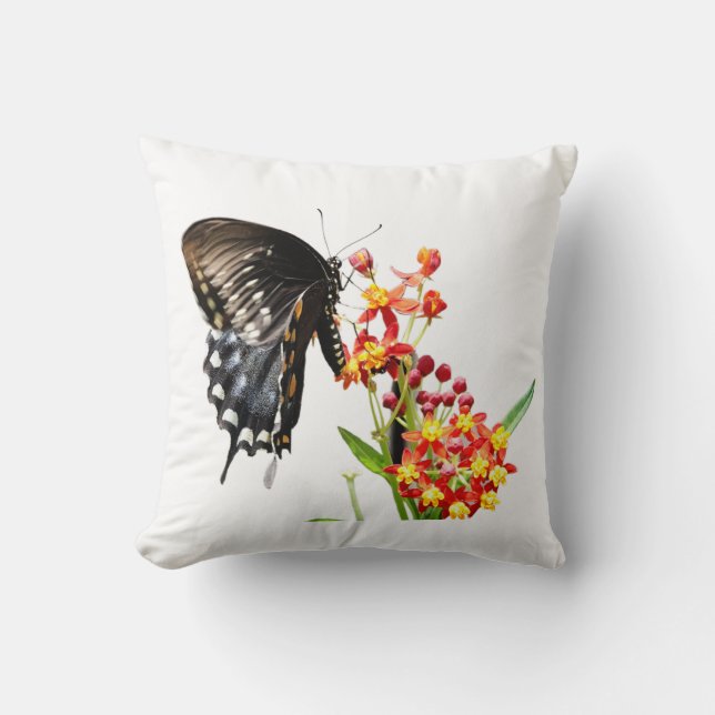Almofada Borboleta em Milkweed Blooms, Travesseiro decorati (Frente)