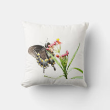 Borboleta em Milkweed Blooms, White