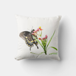 Almofada Borboleta em Milkweed Blooms, White