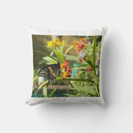Almofada Borboleta Negra Swallow #2