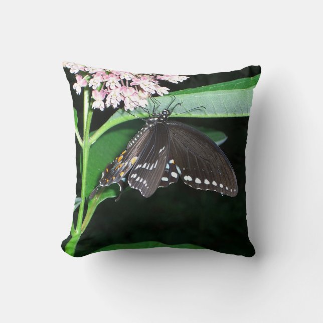 Almofada Borboleta Noturna Black Swallowtail em Shenandoah (Frente)