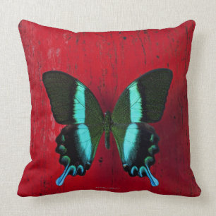 Almofada Borboleta preta e azul na parede vermelha