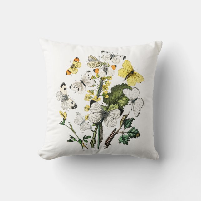 Almofada Borboletas Europeias Vintage (Frente)