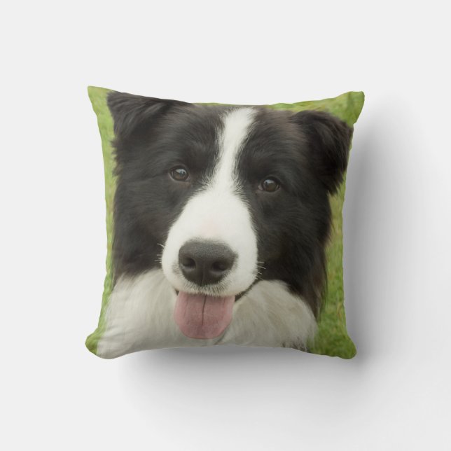 Almofada Border Collie (Frente)