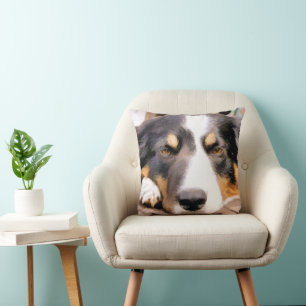 ALMOFADA BORDER COLLIE