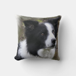 Almofada Border Collie Art